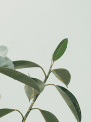 쓰고싶은거 적는 곳