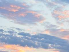 『𝑨𝒃𝒐𝒖𝒕 𝑲𝒂𝒍𝒍𝒆𝒏』