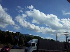 날씨 참 좋은 하루.