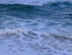 별안간 스치는 모든 애틋한 것에 같은 이름을 붙인다