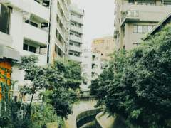 [도리벤 드림] 지난 첫사랑의 일지 上