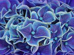 망운지정 프로필