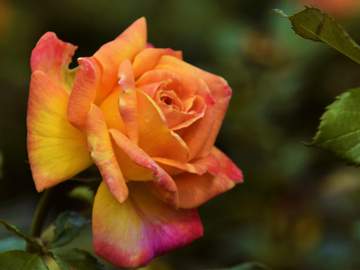 [디스아너드] 제목없음