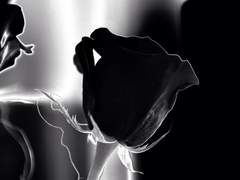 [쿠로세인] 그의 사랑법