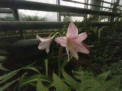 2021 화명수목원