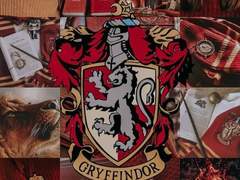 붉은 태양, 가려져도 태양을 지켜보는 별