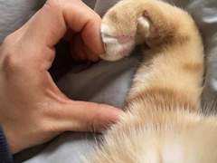 한 여름의 토끼와 겨울의 뱀