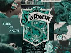 방황하는 저울을 바라보는별