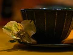 문장을 닦는 법