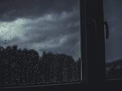 팅커벨 이펙트(Tinkerbell Effect): 9화