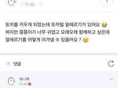 쫑쫑이라도 사랑이 하고 싶어! B