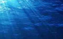 빛바랜 달빛의 끝자락에서