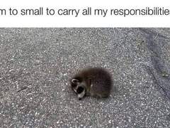 레드핫칠리페퍼로보는나의내면