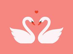 청춘 백조 talk +++