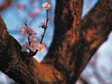 청명 논커플링｜청명은 기시감을 느꼈다.