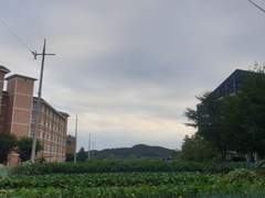 사진은 많은데 제목이 없는