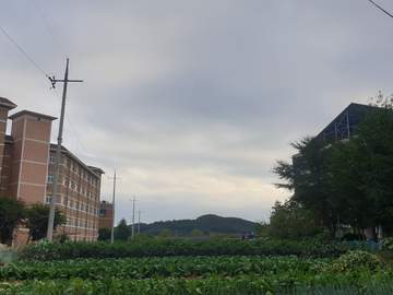 사진은 많은데 제목이 없는