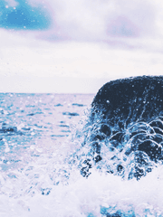 Furious : 나지막이 울리는 해협의 전