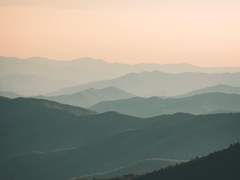 나의 죽음을 네게 맡기며