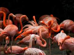 윤중청자] 문외한 작은 이 이사님 (1/n)