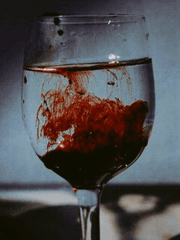 예술가 관찰일지