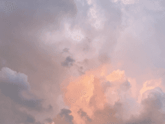 오늘은 어땠어 ?