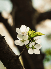 반월당의 기묘한 이야기