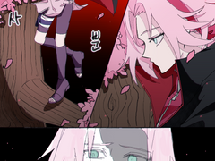 아카츠키 사스사쿠