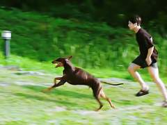 인더숲 2편이 올라왔지만 나는 아직 못 봄