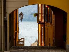 노아 아델 세르피엔디 / XY / 21