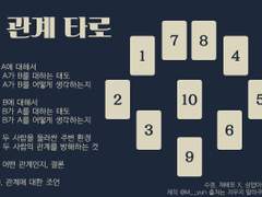 로버트X료 관계 타로 해석