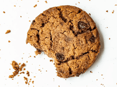 그들은 행복해습니다?