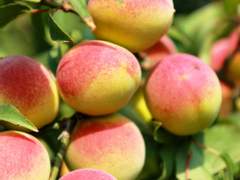 아기가 생겼어요 下