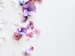 [트와일라잇/bl/] 가끔 저는 벨라 아버지가...