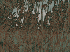 Let’s dance with beautiful them.