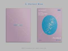 3. Perfect Blue