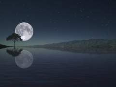 [희신강징] 운몽괴담회(云梦怪談會)