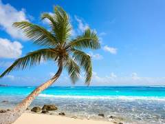 Amelia Hartzfeld/ XX