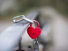 [야마츠무] 거짓말쟁이 청문회