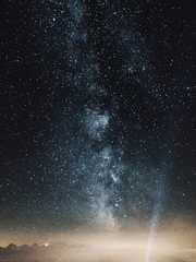 전지적 독자 시점