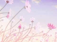 [익준송화] Cosmos