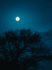 동동 (2016, 중단)