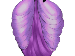 프시케 데오 공개프로필