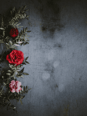 빙의를 바란 건 아니었다