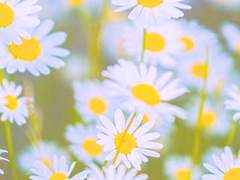 "무지개가 뭔지 알아?"