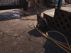 [캘리/외간25/불여우/xx]