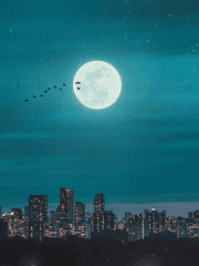 문스독 단편 글방