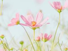 [제네에세] Dec 27