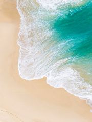 유현유진 육성게임