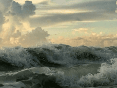 고래는 우물 속에 있을 수 없다 - 2